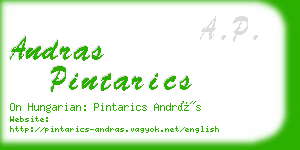 andras pintarics business card